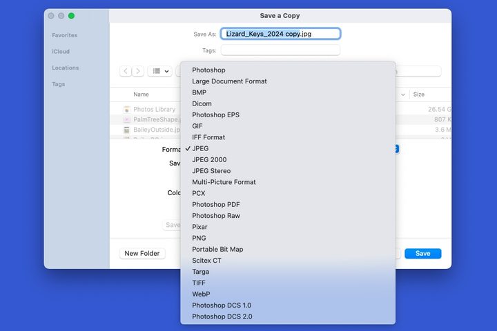 Photoshop Save a Copy options.
