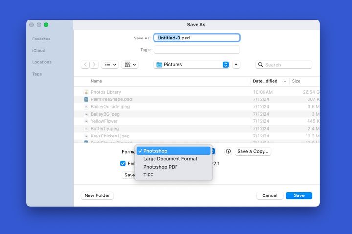 Photoshop Save As dialog box format menu.
