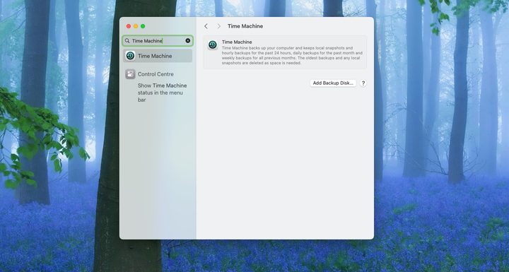 Time Machine back-up feature on macOS.