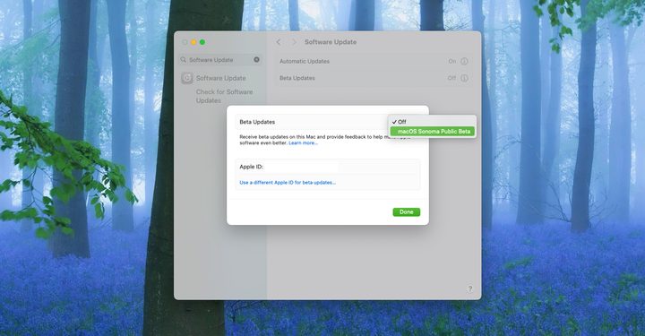 Setting up macOS beta on macOS.