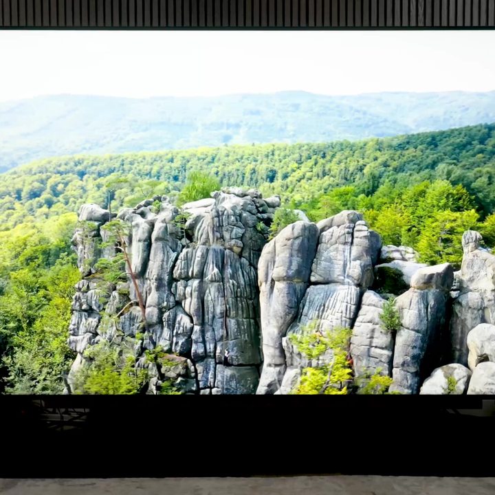 TCL QM89 115-inch