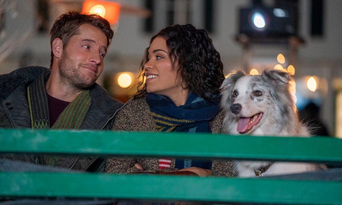 A man and woman sit on a bench next to a dog.