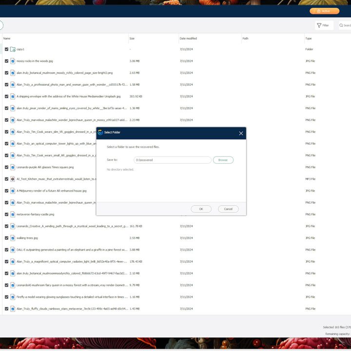 Wise gave its Data Recovery app with a clean and simple user interface.