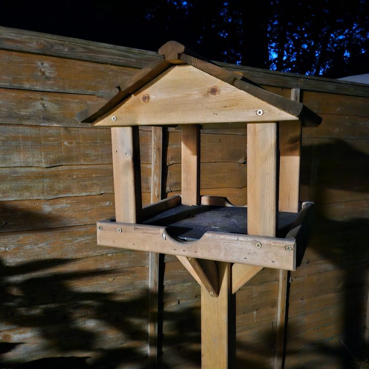 A photo taken with the Samsung Galaxy Z Flip 5's night mode.