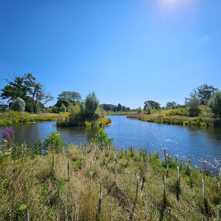A photo taken with the Samsung Galaxy Z Flip 5's wide-angle camera.