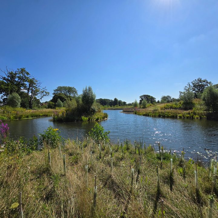 A photo taken with the Samsung Galaxy Z Flip 6's wide-angle camera.