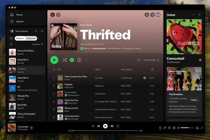 Howe to see lyrics in the Spotify desktop app.