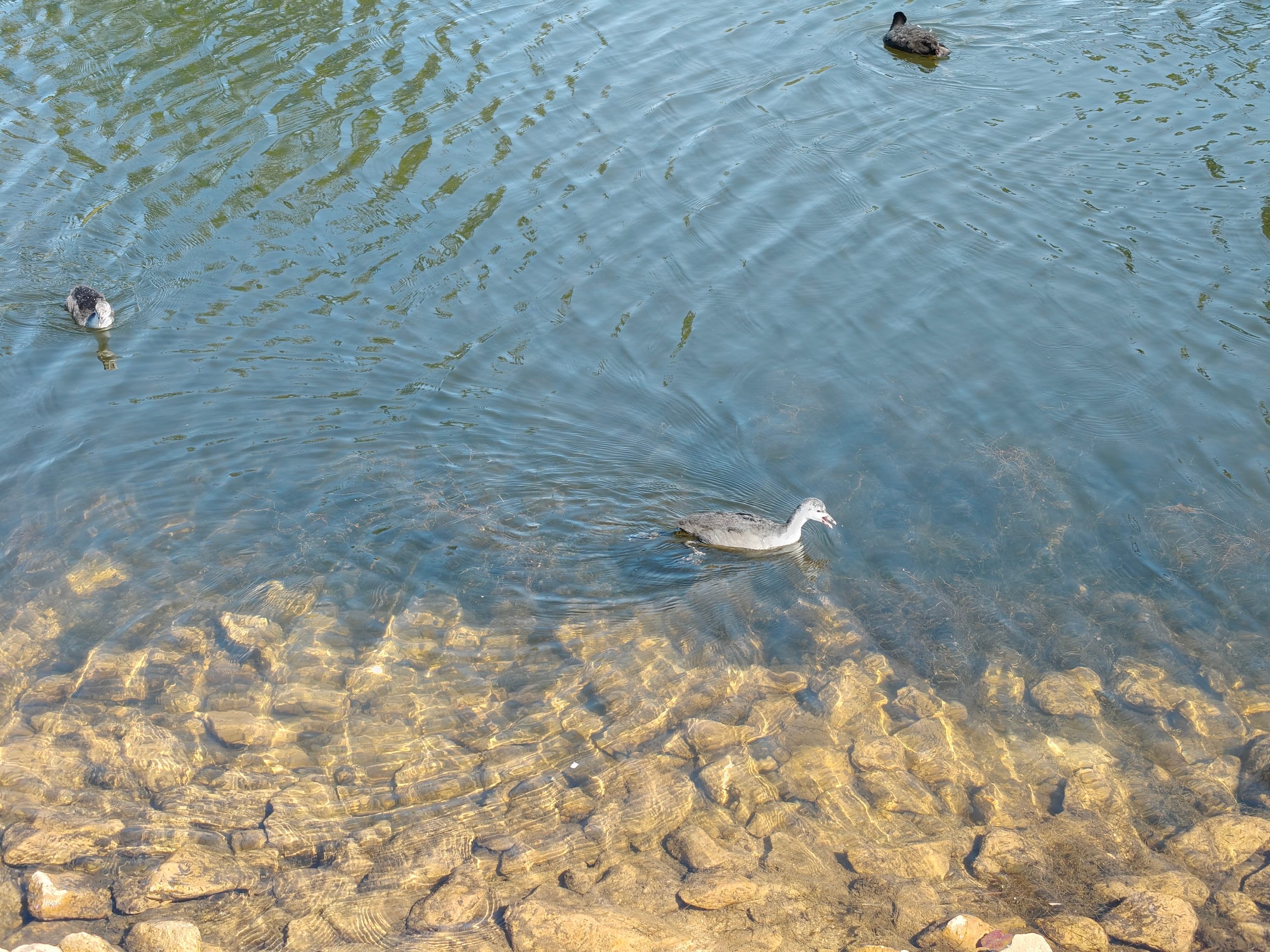 A photo taken with the Realme 13 Pro+'s 3x zoom camera.