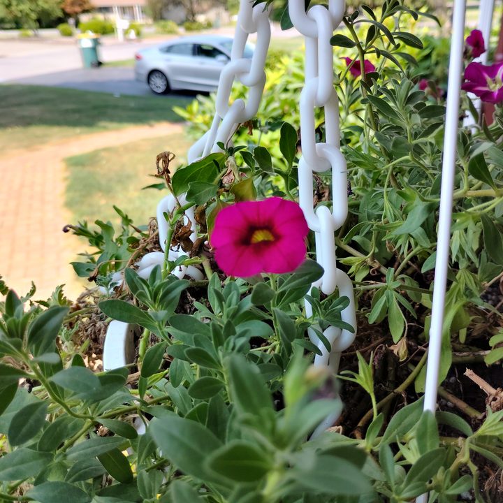 T-Mobile REVVL 7 PRO 5G example photo-taking.