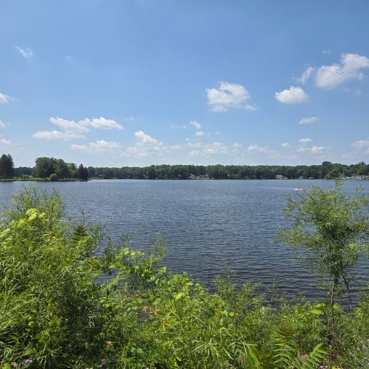 A photo of a small lake, taken with the Samsung Galaxy Z Flip 6.