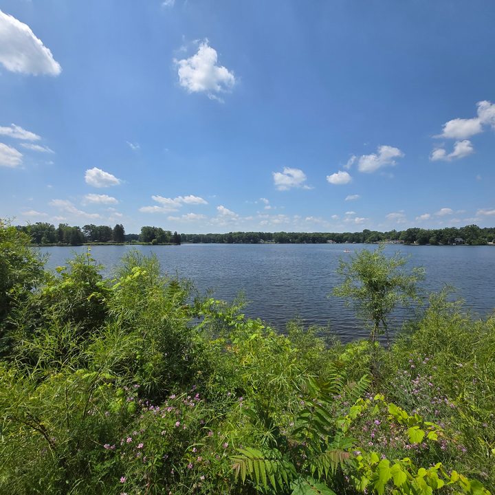 A photo of a small lake, taken with the Samsung Galaxy Z Flip 6.