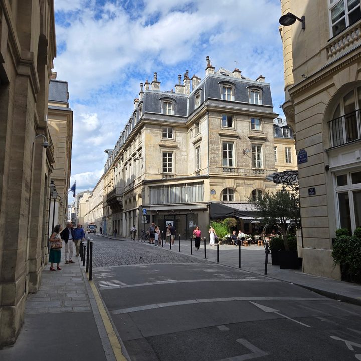 A photo of a treet in Paris, taken with the Samsung Galaxy Z Flip 6.