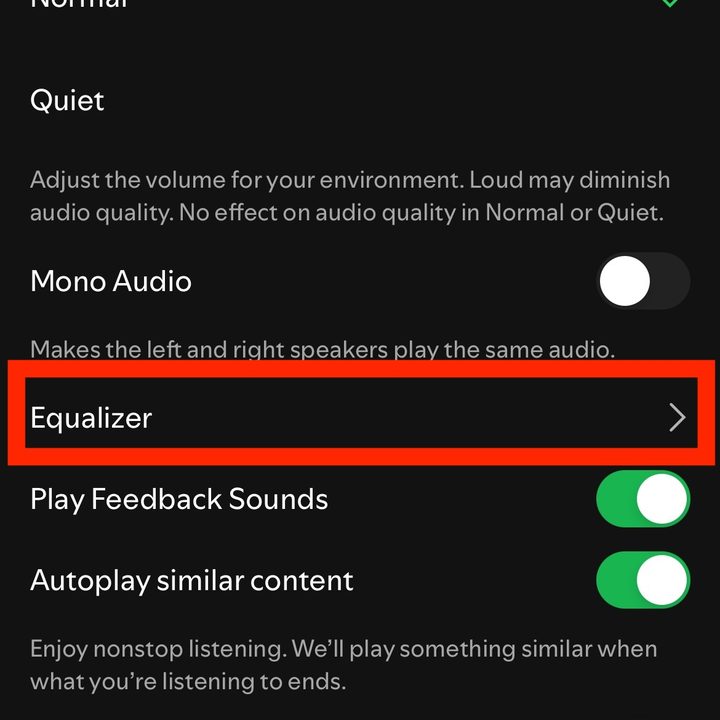 The Equalizer option highlighted in the Spotify iOS app.