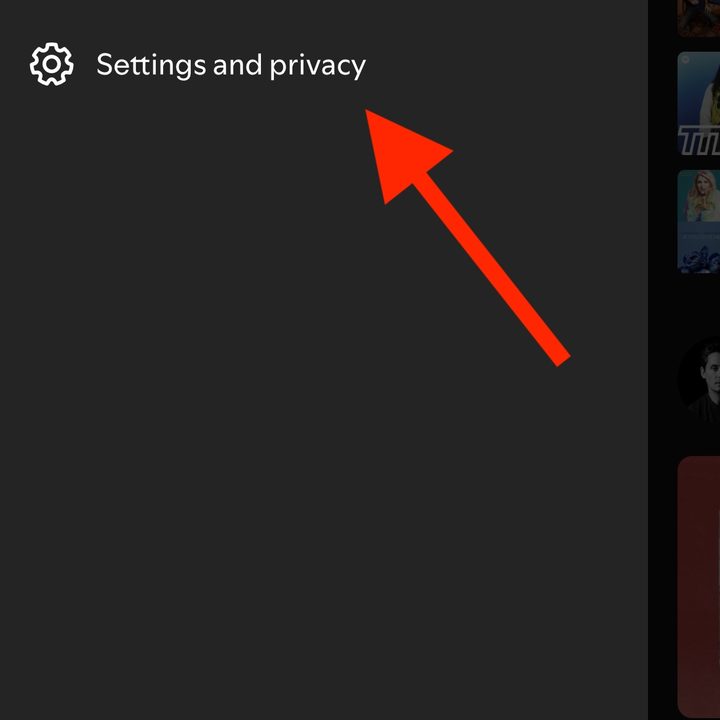 The Settings & Privacy option in the Spotify iOS app.