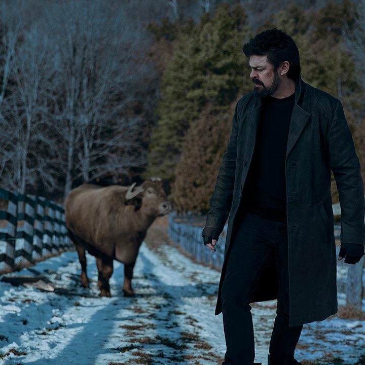 Billy Butcher running from a large cow on The Boys