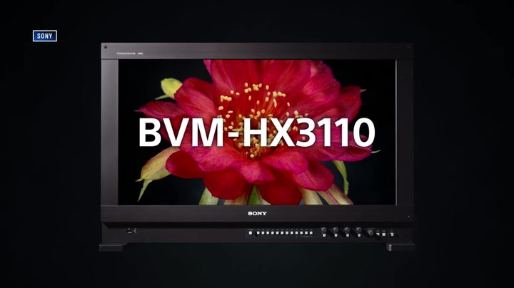 Sony BVM-HX3110