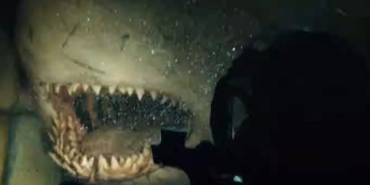 A blind great white shark in 47 Meters Down Uncaged