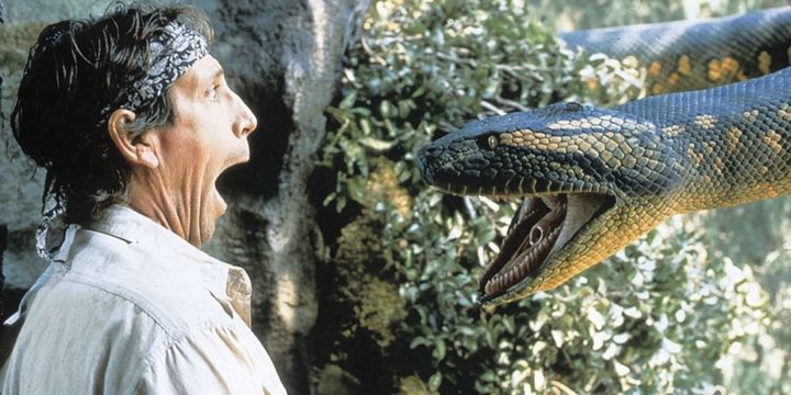 A giant Anaconda in Ancaonda movie