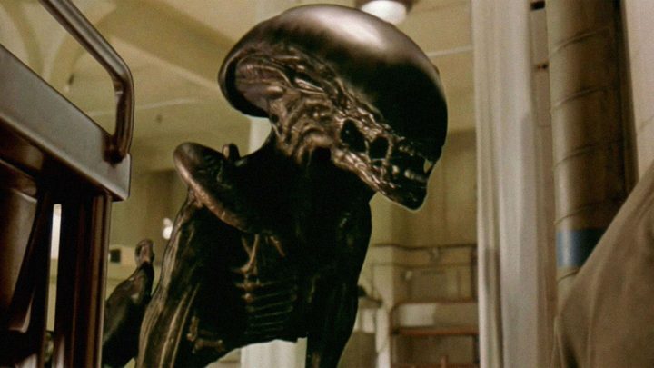 An alien xenomorph from Alien 3.