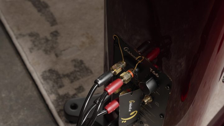 GoldenEar T66