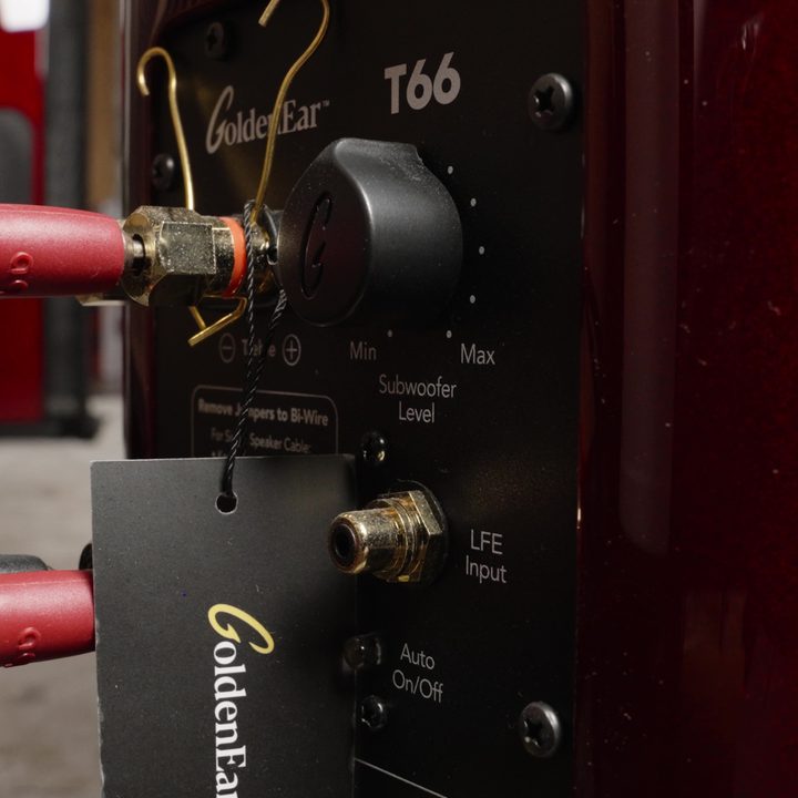 GoldenEar T66