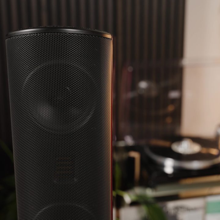 GoldenEar T66