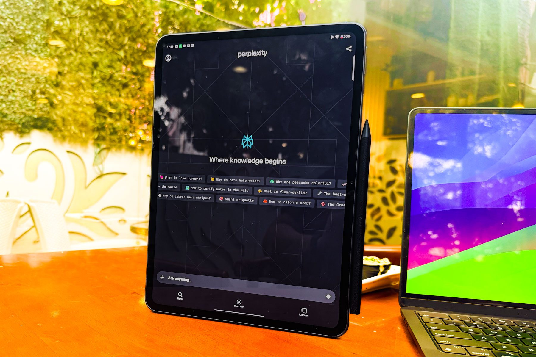 Running Perplexity on OnePlus Pad 2.