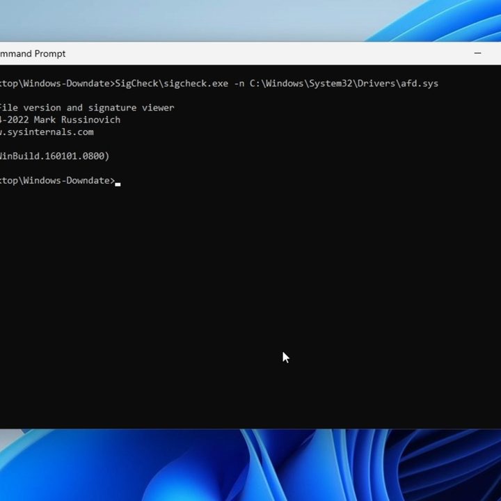 The Windows Downgrade tool.