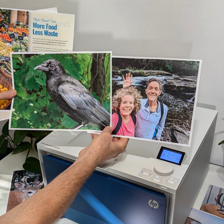 The HP Color LaserJet Pro 4201dw has very good print quality, even for photos.