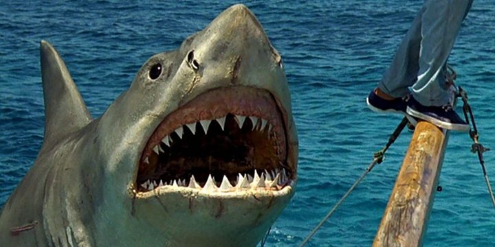 The terrible shark in Jaws The Revenge