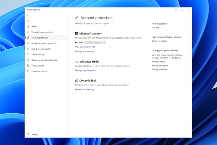 The Account protection screen in the Windows Security app in Windows 11.