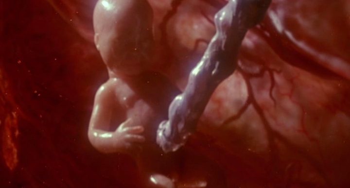 A fetus floats in a womb in A Nightmare on Elm Street 5: The Dream Child.