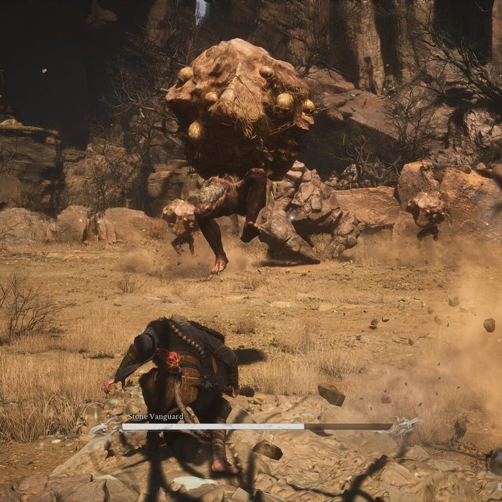 The image shows the player facing off against the Stone Vanguard boss.