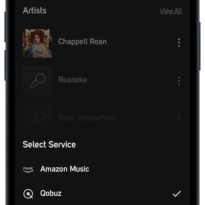 BluOS app on iOS: Search.