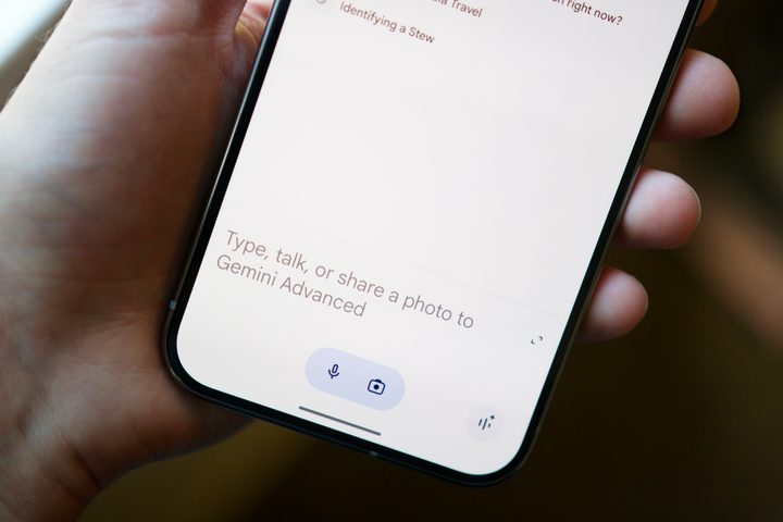 Google Gemini Advanced running on the Pixel 9 Pro XL.