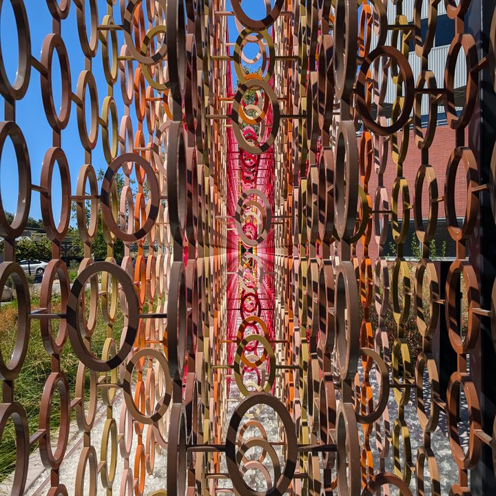Color rings at Googleplex.