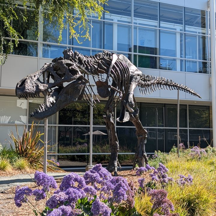 Dinosaur at Googleplex.