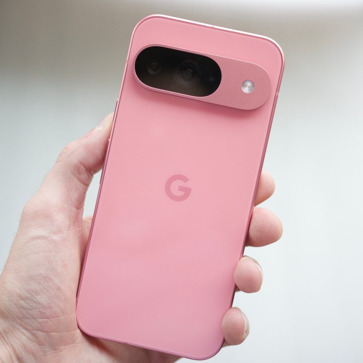Someone holding a pink Google Pixel 9.