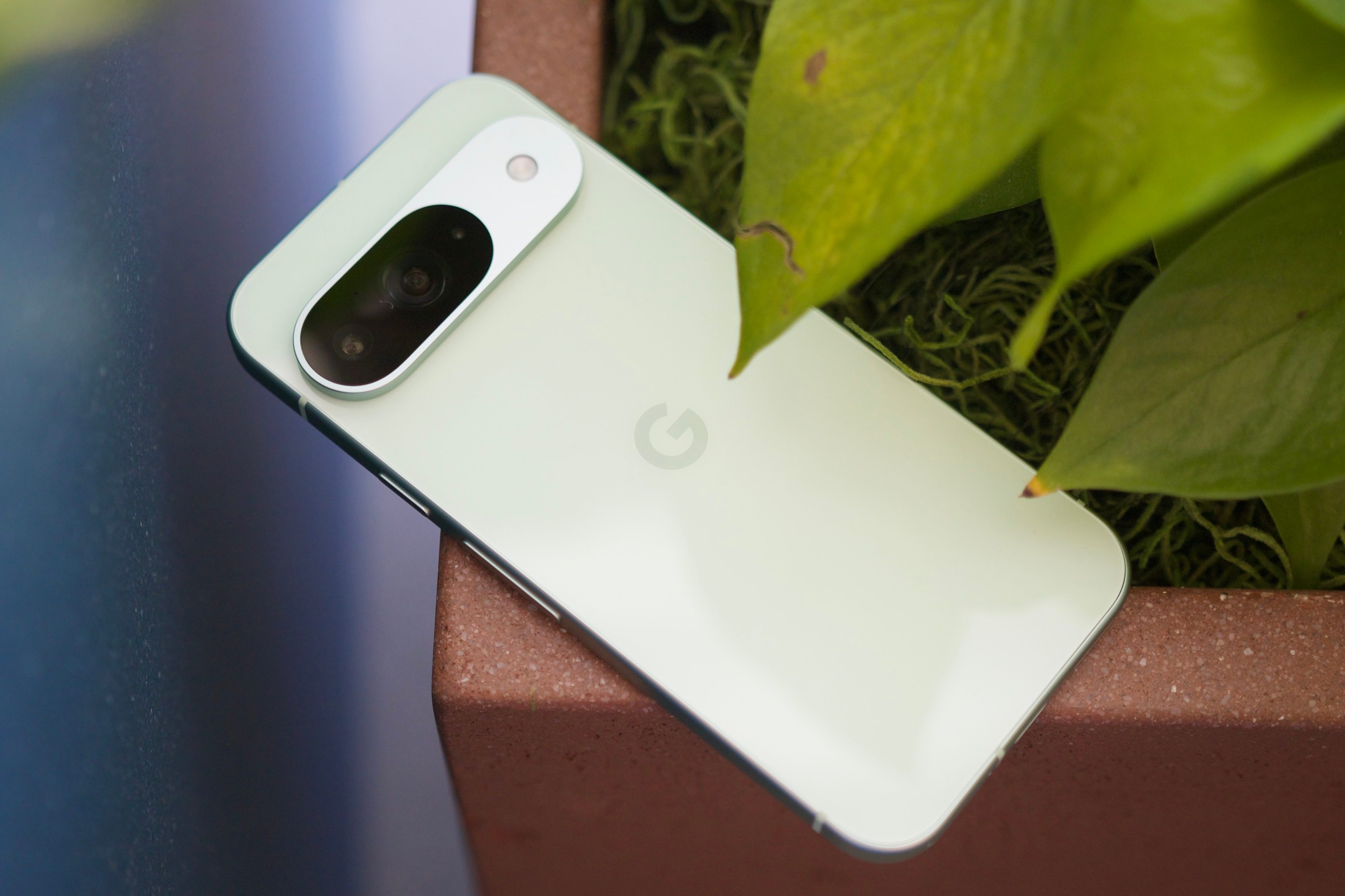 The back of the Google Pixel 9.