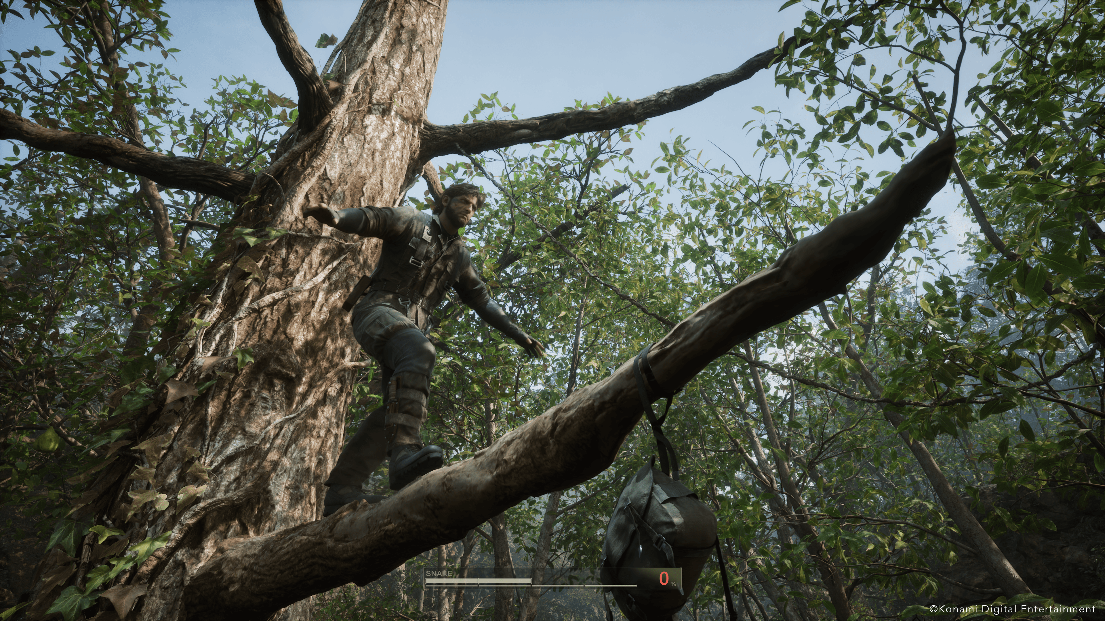 Snake walking on a tree branch.