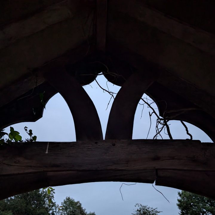 A photo taken with the Google Pixel 9's Night mode.