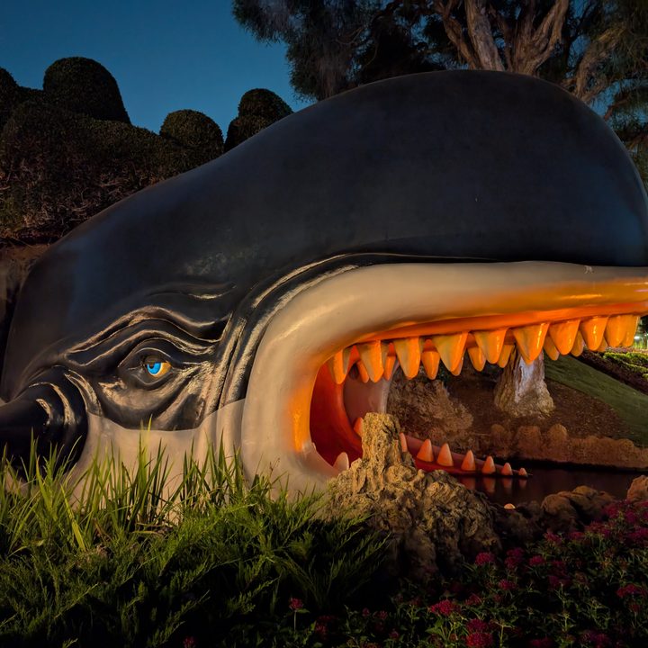 Side view of Monstro taken with Google Pixel 9 Pro.