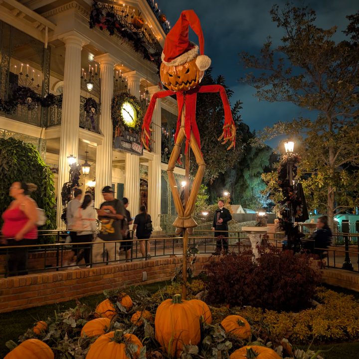Pumpkin scarecrow taken with Google Pixel 9 Pro.