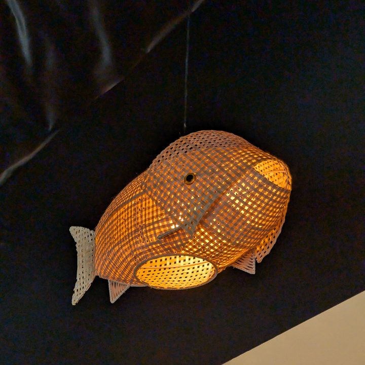 Fish lamp taken with Google Pixel 9 Pro.