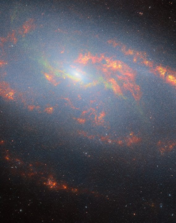 Featured in this new image from the NASA/ESA/CSA James Webb Space Telescope is Messier 106, also known as NGC 4258. This is a nearby spiral galaxy that resides roughly 23 million light-years away in the constellation Canes Venatici, practically a neighbour by cosmic standards. Messier 106 is one of the brightest and nearest spiral galaxies to our own and two supernovae have been observed in this galaxy in 1981 and 2014.