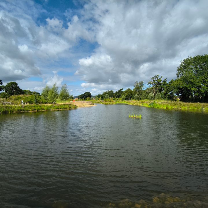 A photo taken with the Motorola Razr 2024's wide-angle camera.