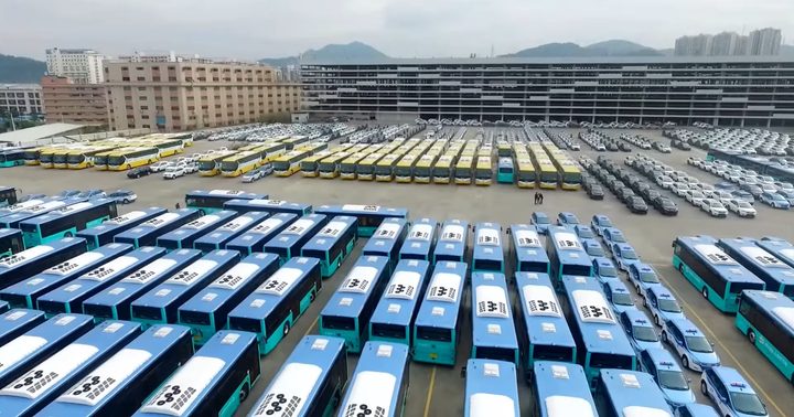 Shenzhen's fleet of electric buses.