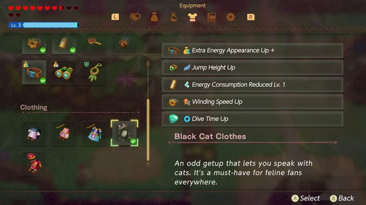 The black cat clothes in Echoes of Wisdom.