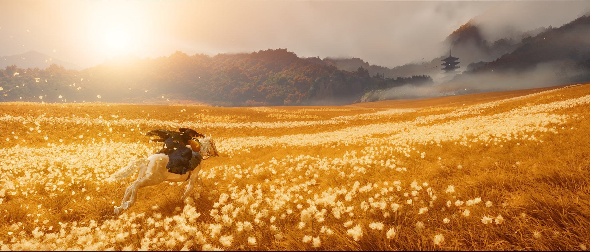Atsu riding through a golden field in Ghost of Yotei.
