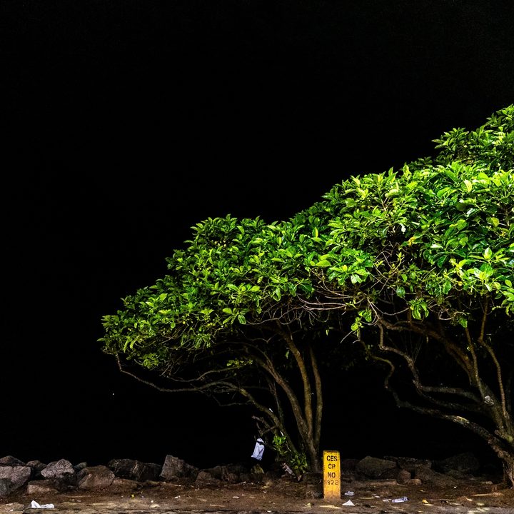 Night mode image clicked and edited on iPhone 15 Pro Max.